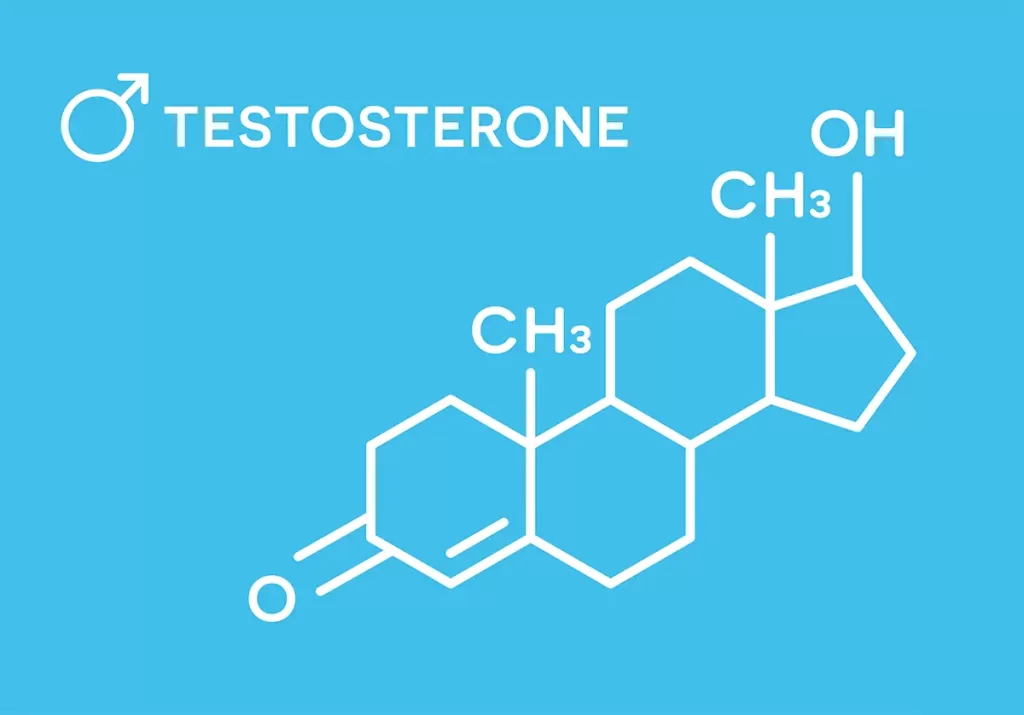 How to increase testosterone levels in men